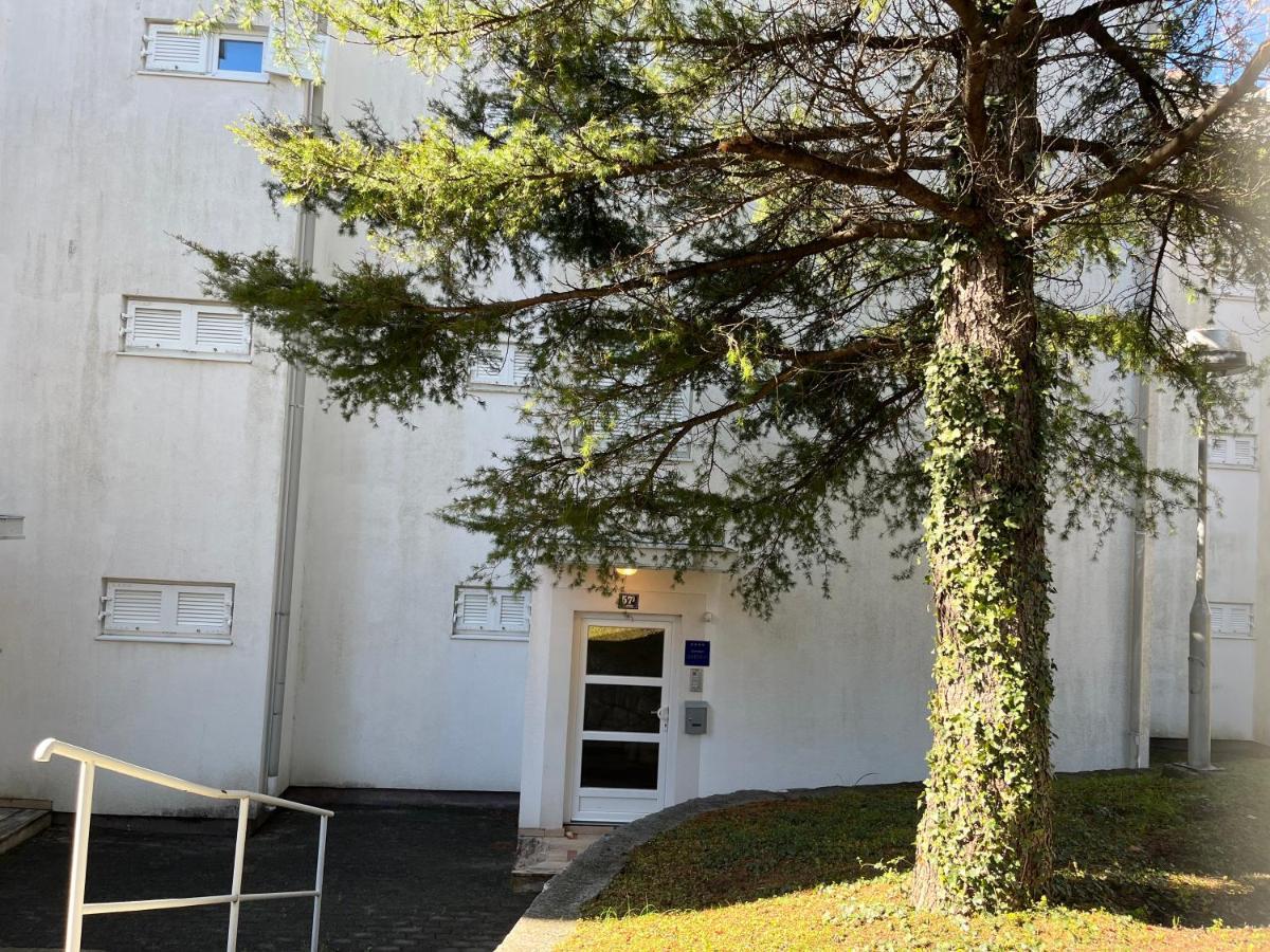 Maja Apartman